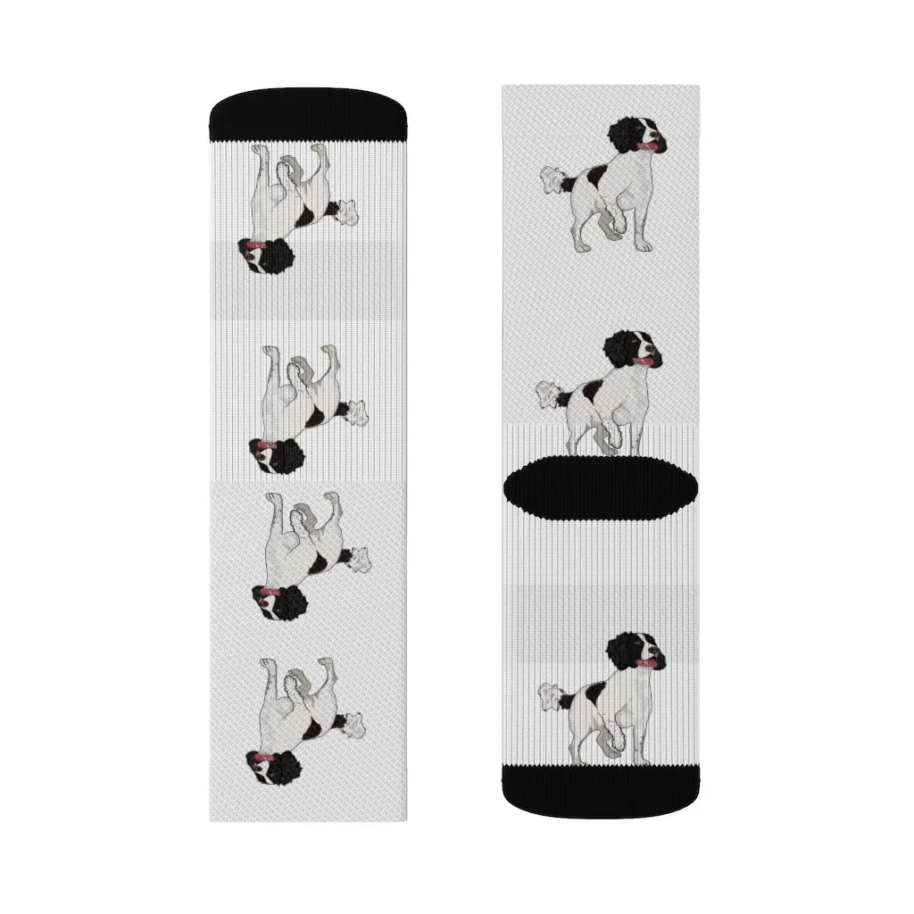 English Springer Spaniel Sublimation Socks, 3 Sizes, Ribbed Tube, 95% Polyester, Background Color Can Be Changed, Made in the USA!!
