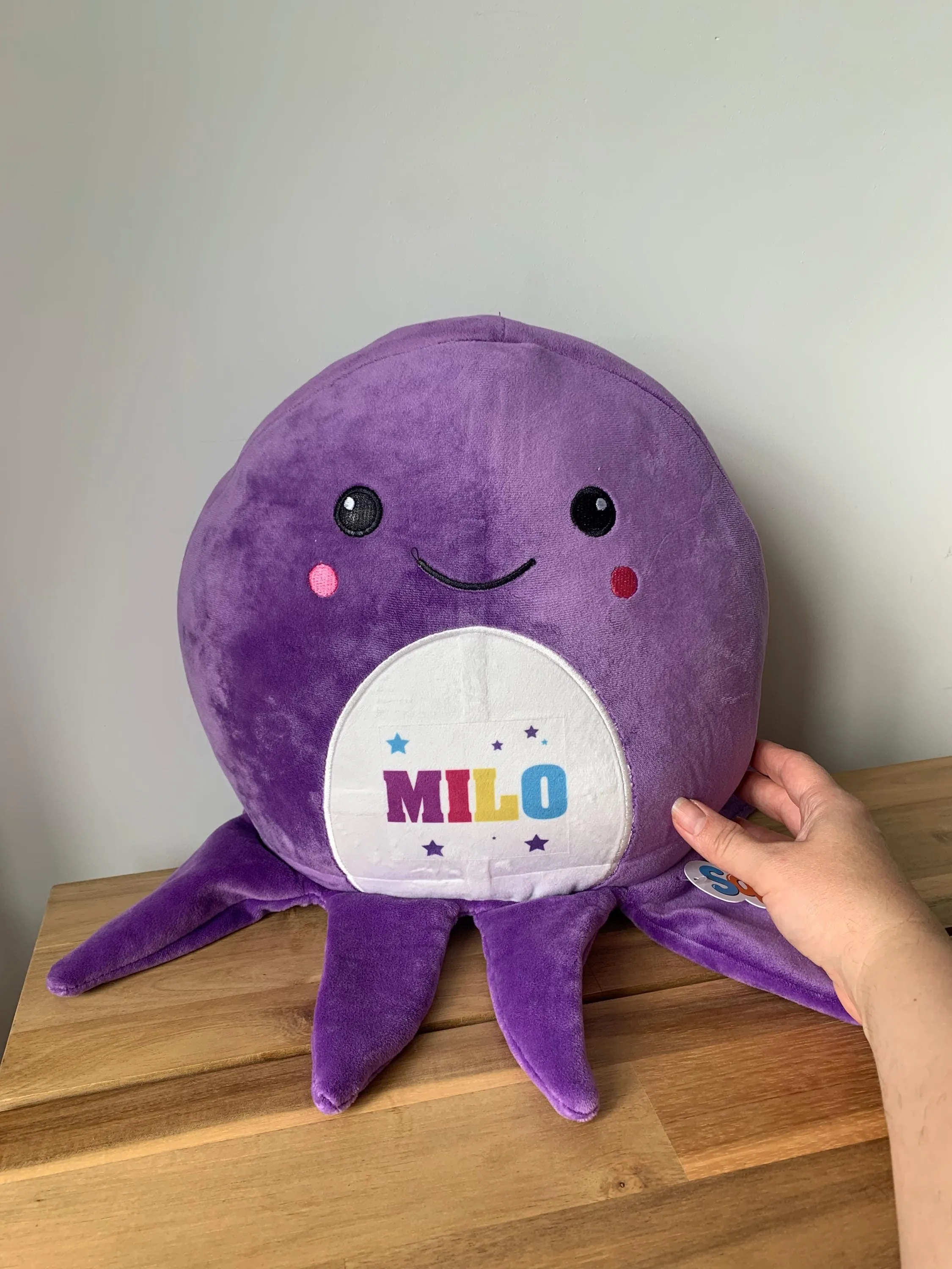 Personalised Squidgy Toy, Large Soft Toy, Custom Name Soft Toy, Personalised Kid Toy, Child Soft Toy,  Octopus Teddy, Octopus , Big Soft Toy